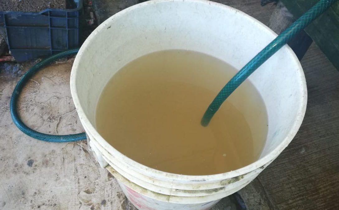 Agua Contaminada Nuevo LeÓn - Regio Politica