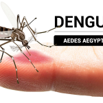 Dengue - Regio Politica