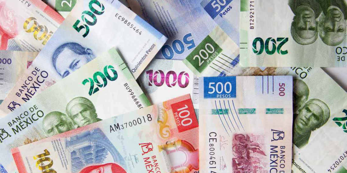 Peso - Regio Politica