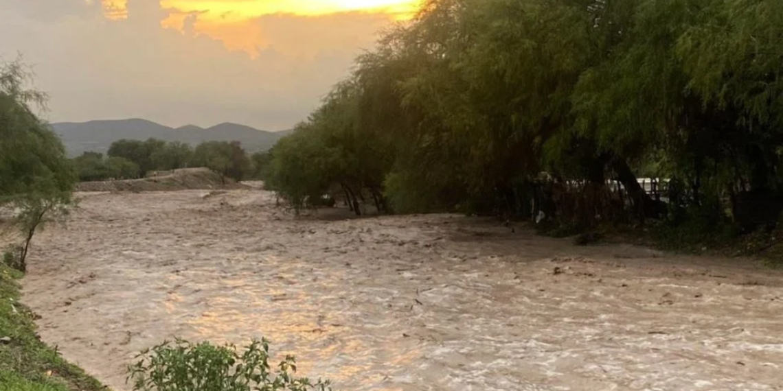 Doctor Arroyo - Regio Politica