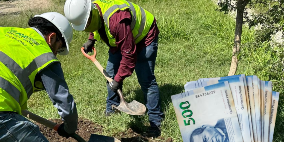 Samuel García - Regio Politica