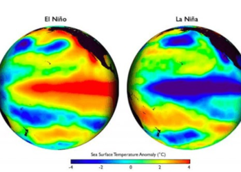 La Niña En Nuevo León - Regio Politica