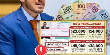 ReforestaciÓn-extrema-nuevo-leÓn-samuel-garcÍa - Regio Politica