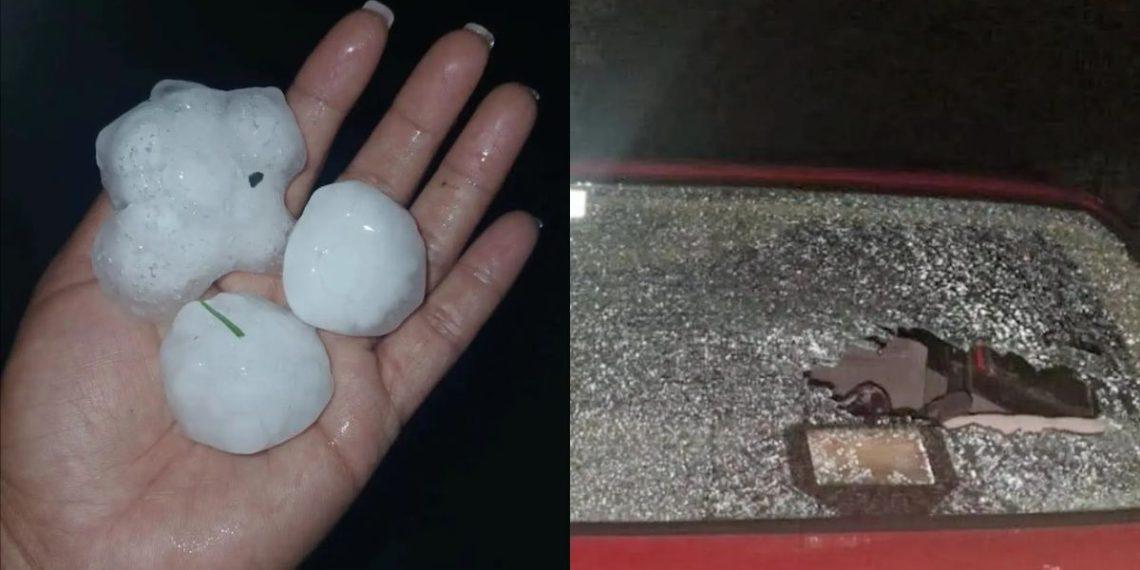 Hand in a Palm Holding Three Large White Hailstones, Wet and Rounded After a Hailstorm. - Regio Politica
