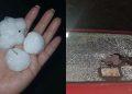 Hand in a Palm Holding Three Large White Hailstones, Wet and Rounded After a Hailstorm. - Regio Politica