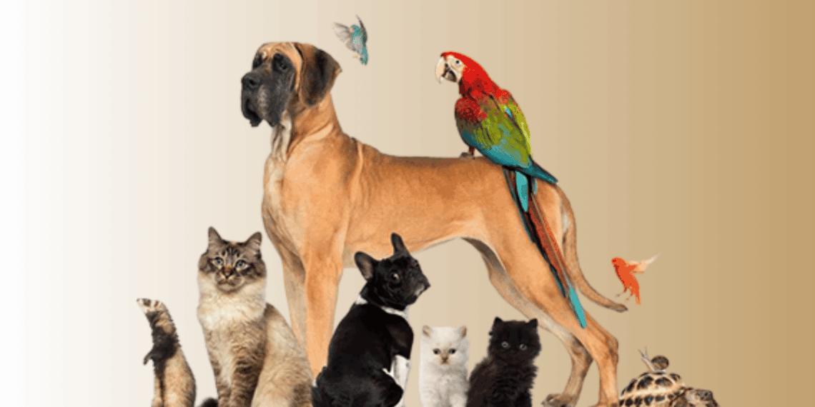 Ley General De Bienestar Animal En México - Regio Políticas - Regio Politica