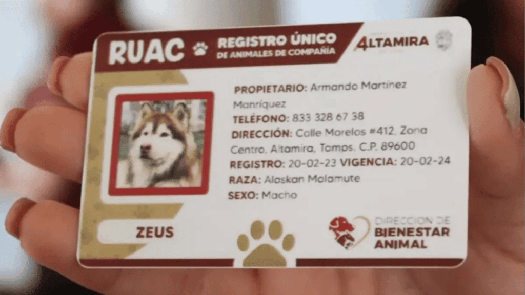 Ley General De Bienestar Animal En México Y El Registro De Animales De Compañía - Regio Políticas - Regio Politica