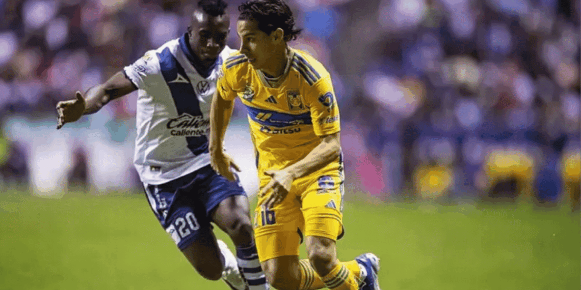 Tigres Uanl Vs Puebla - Regio Políticas - Regio Politica