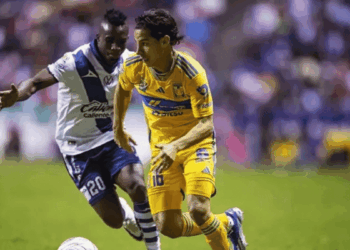 Tigres Uanl Vs Puebla - Regio Políticas - Regio Politica
